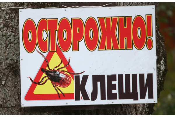 Профилактика клещевых инфекций