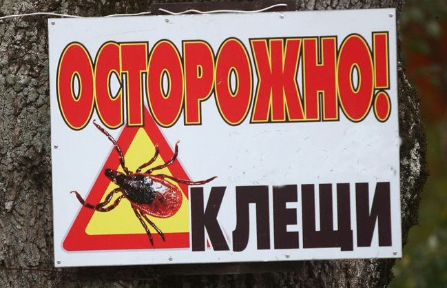 Профилактика клещевых инфекций