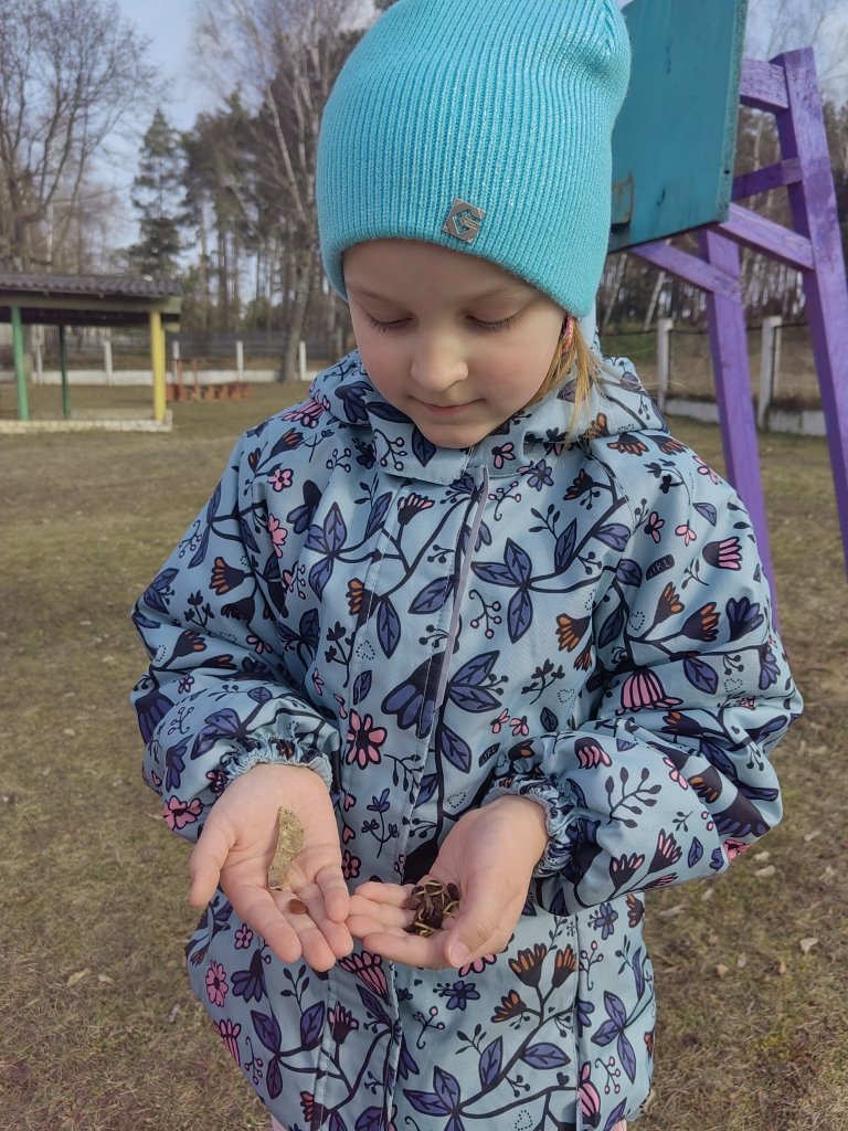 На прогулке наблюдаем...