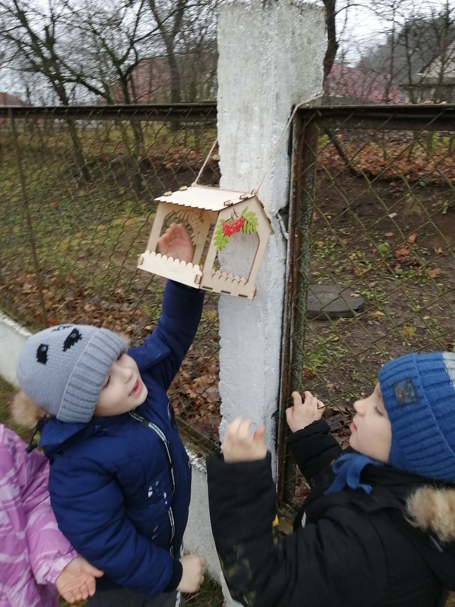 Забота о птицах зимой