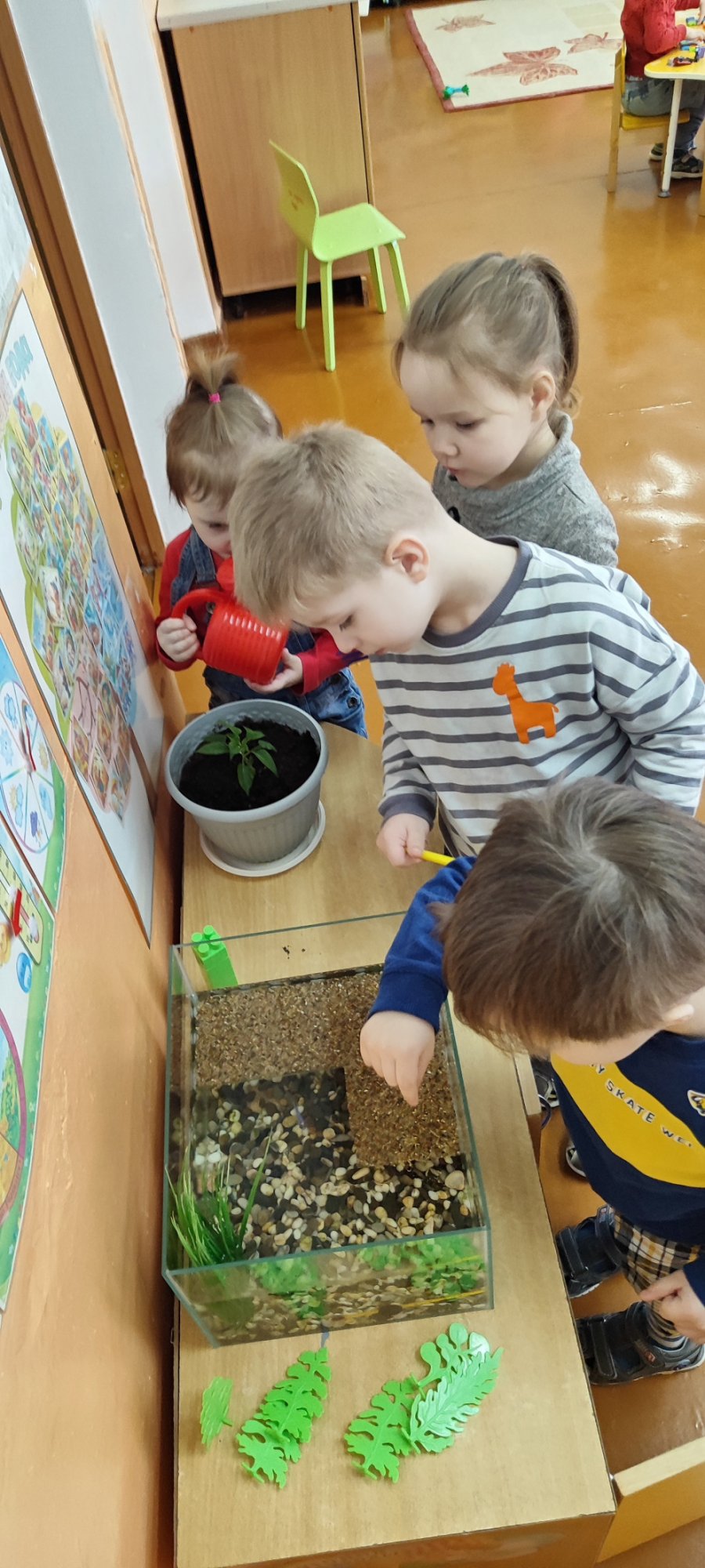 Учимся заботиться: день в уголке природы