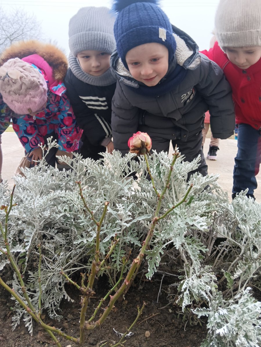 Почемучки в деле