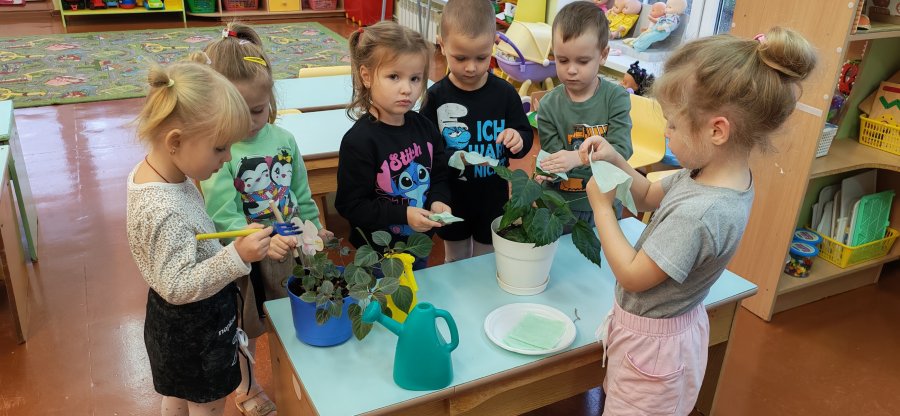 На окне моём цветочки...