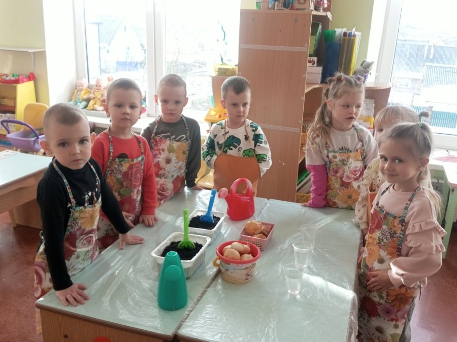 Огород на подоконнике